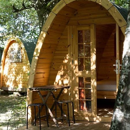 Camping Dolce Sole Marina di Massa Extérieur photo