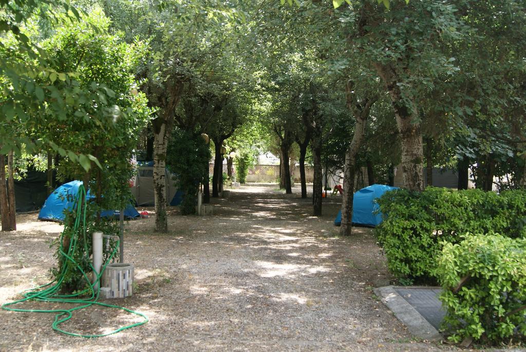 Camping Dolce Sole Marina di Massa Extérieur photo