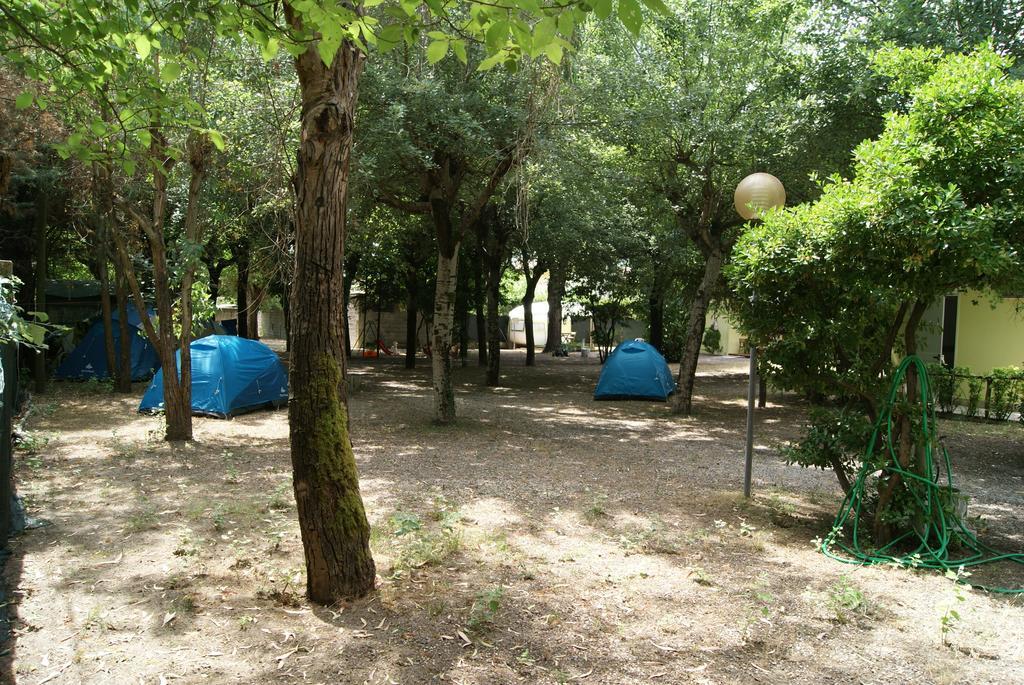 Camping Dolce Sole Marina di Massa Chambre photo