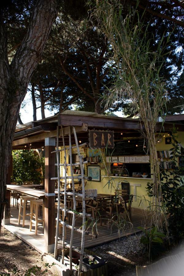 Camping Dolce Sole Marina di Massa Extérieur photo