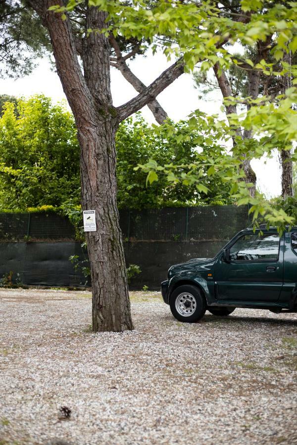 Camping Dolce Sole Marina di Massa Extérieur photo